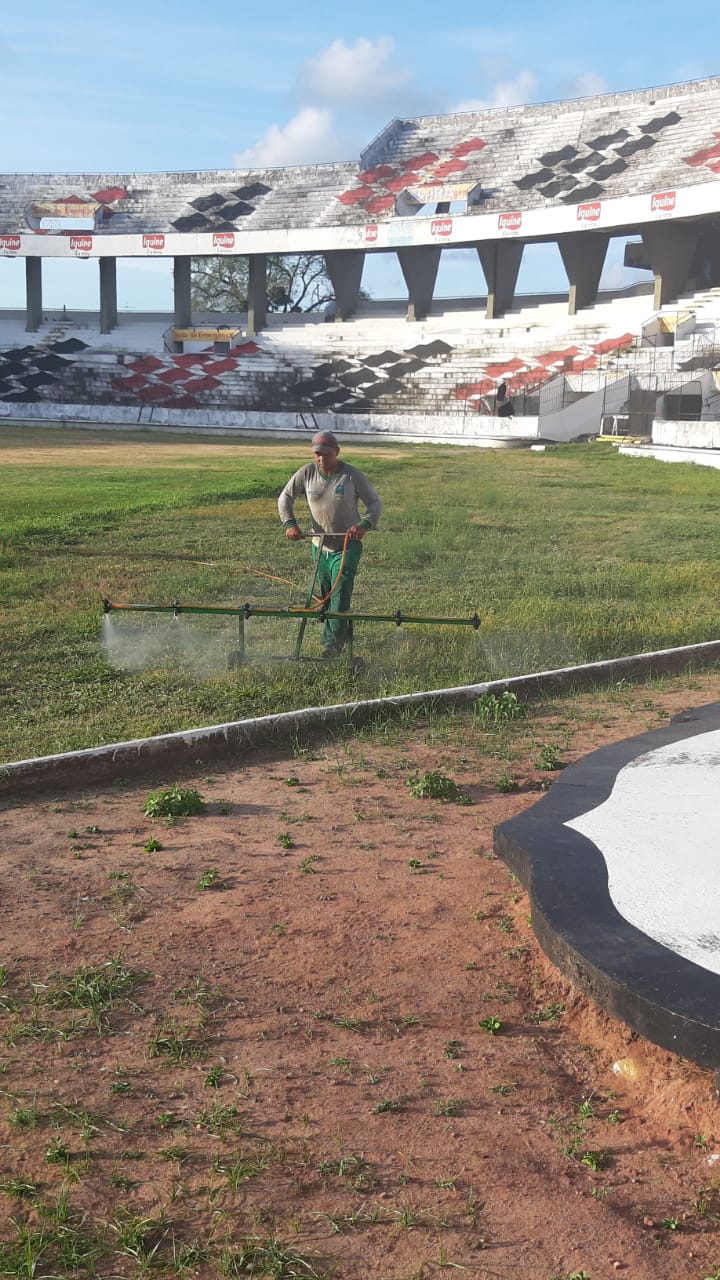Obra para troca total do gramado já começou