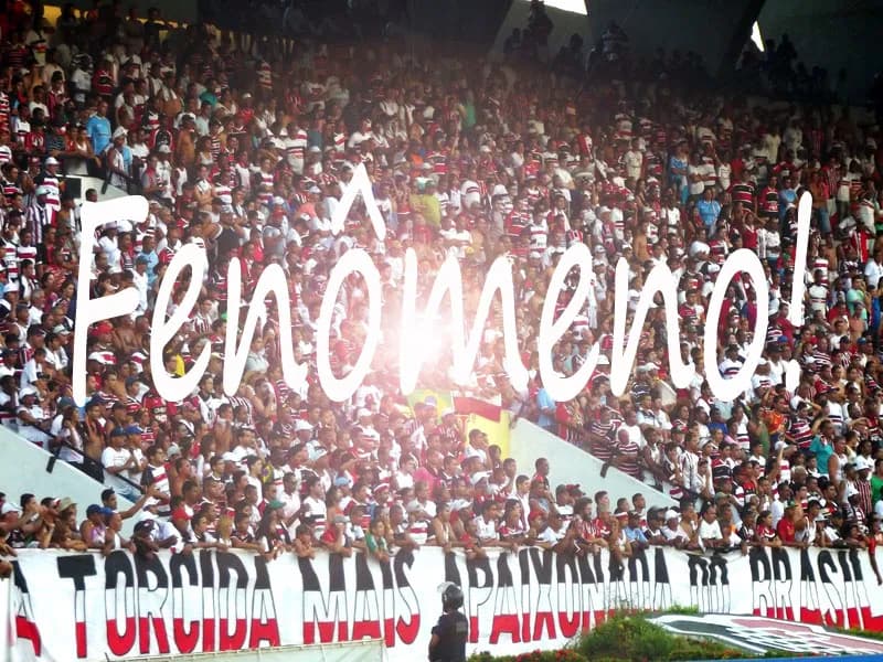 Santa Cruz tem média de público maior que a de 96 clubes das Série A, B, C e D.